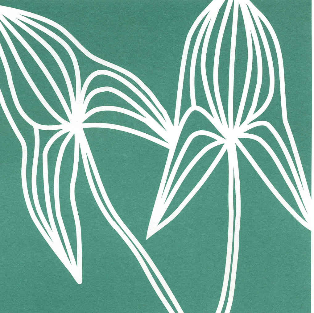 Drawing of the Botanical Center Logo.